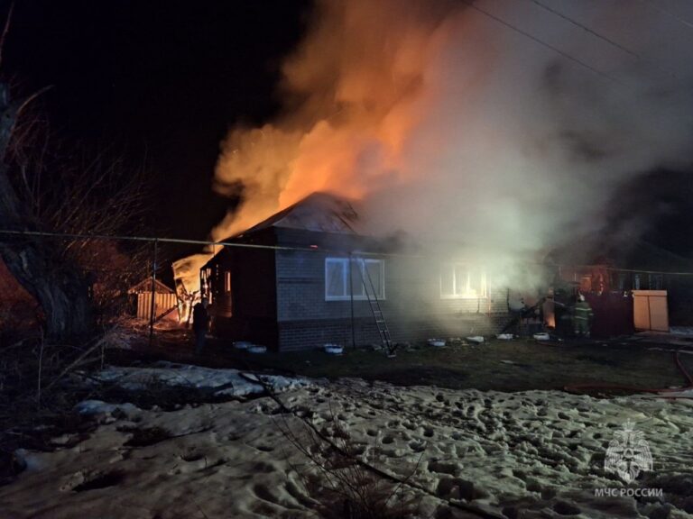 Фото: МЧС Мордовии