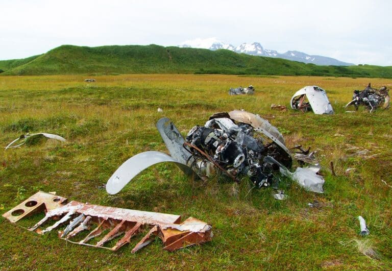 Фото: Dmitry Avdeev/wikimedia.org/CC BY-SA 3.0