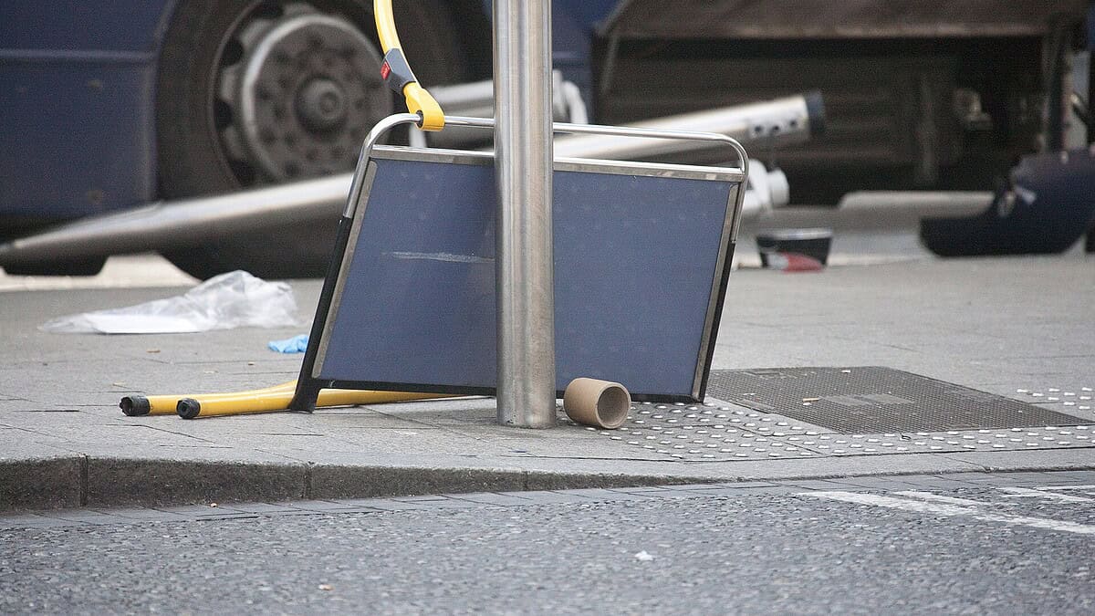 Фото: commons.wikimedia.org/William Murphy/Creative Commons Attribution-Share Alike 2.0