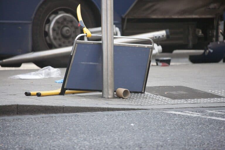 Фото: commons.wikimedia.org/William Murphy/Creative Commons Attribution-Share Alike 2.0