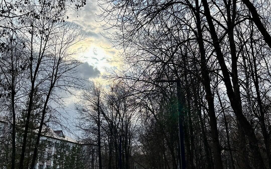 Фото: Администрация г.о. Саранск