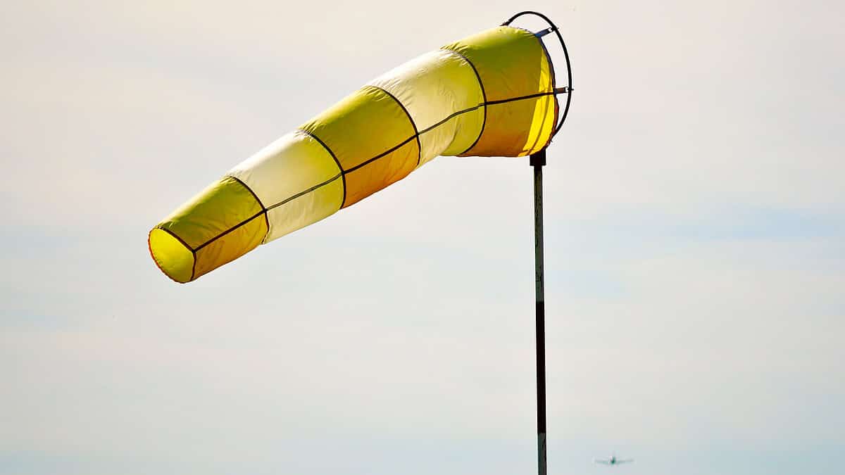 Фото: wirestock на Freepik