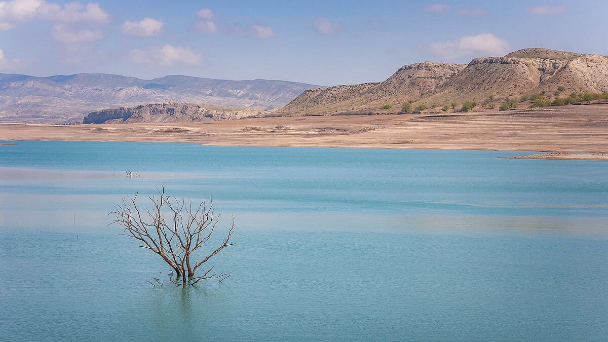 Фото: commons.wikimedia.org/Alexander Novikov/Creative Commons Attribution-Share Alike 4.0