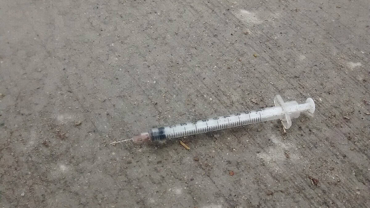 Фото: commons.wikimedia.org/Accuruss/Creative Commons Attribution-Share Alike 4.0