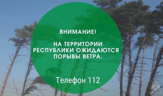 Фото: МЧС РМ