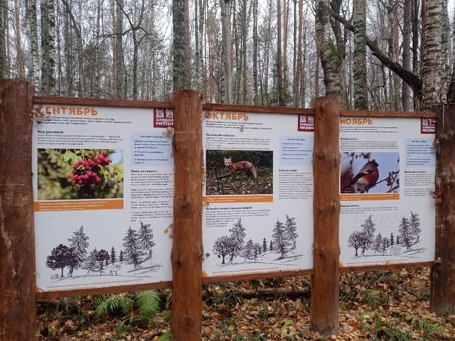 Фото: Заповедная Мордовия