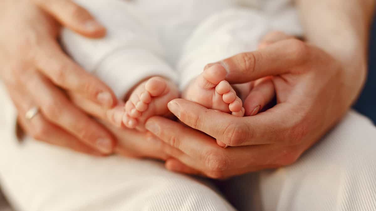 Фото: prostooleh на Freepik