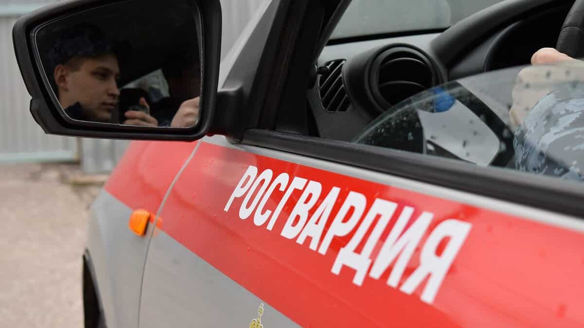 Фото: 13.rosguard.gov.ru