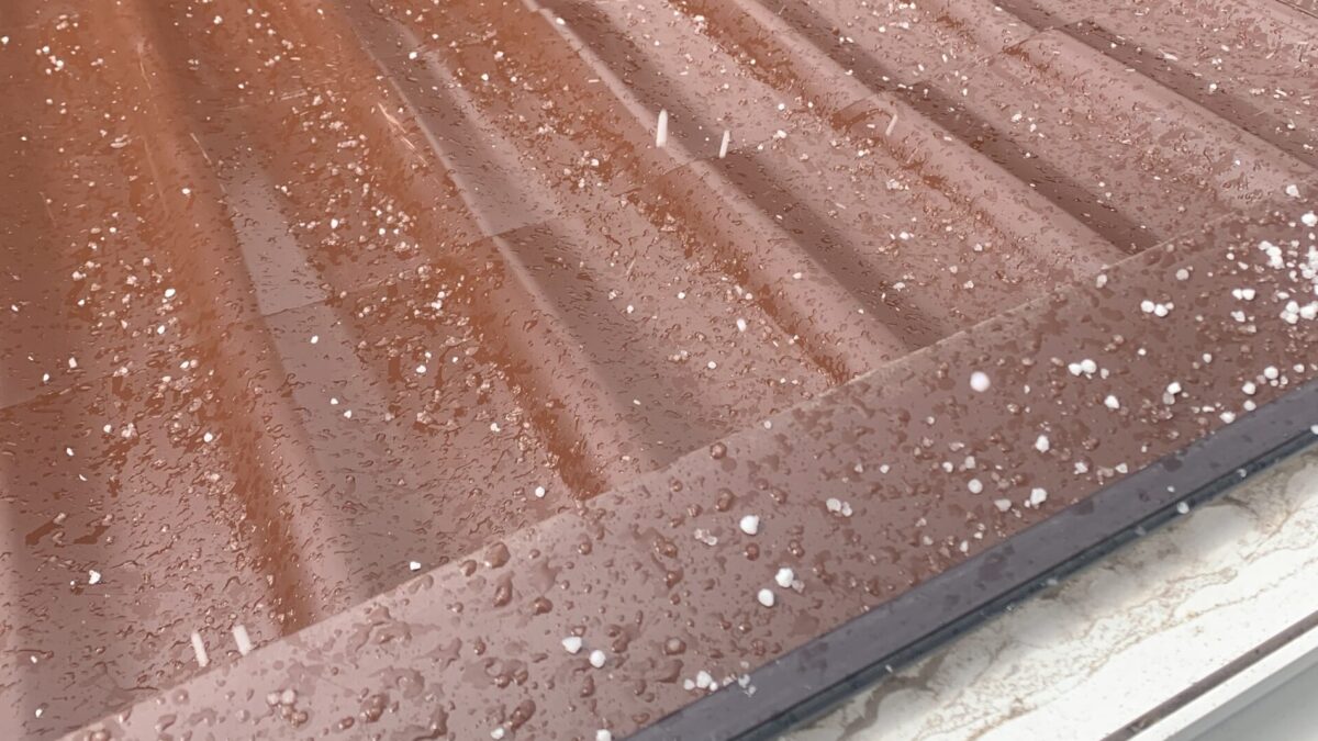 Фото: МордовМедиа