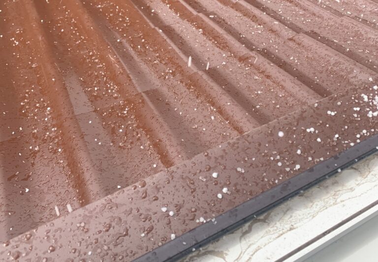 Фото: МордовМедиа