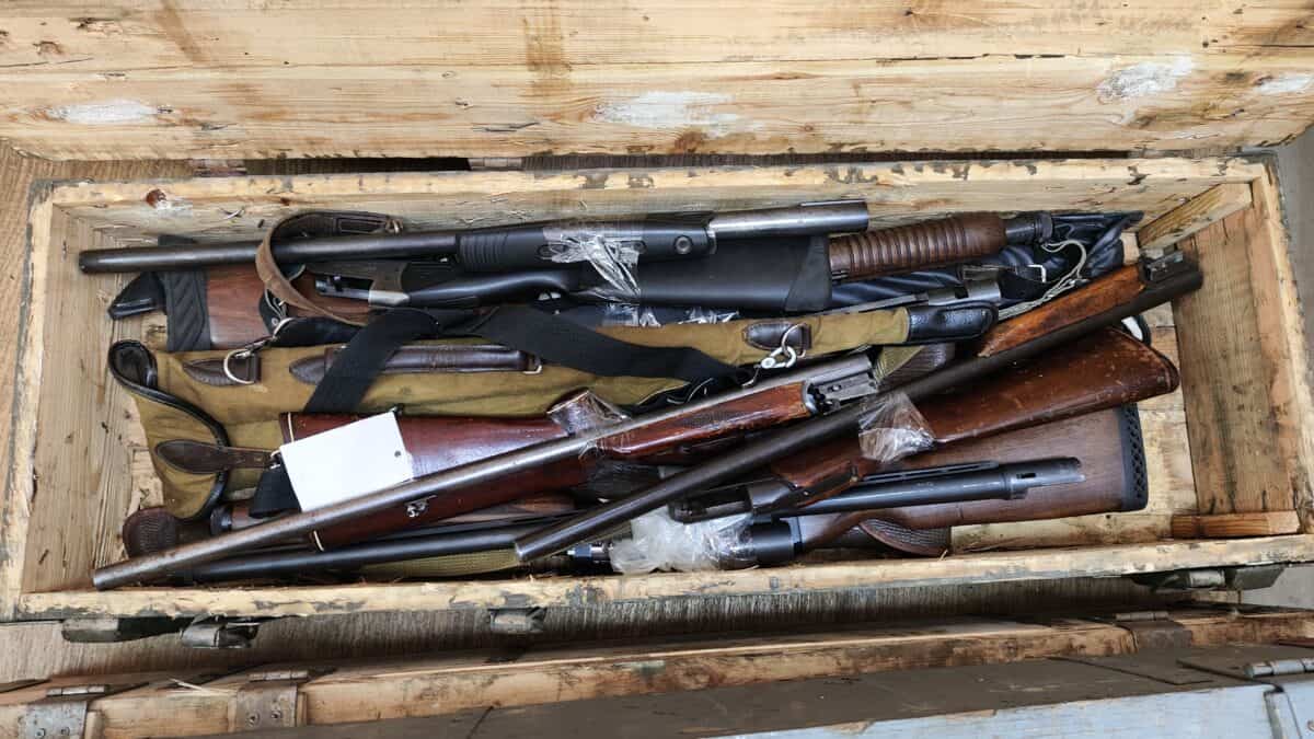 Фото: 13.rosguard.gov.ru