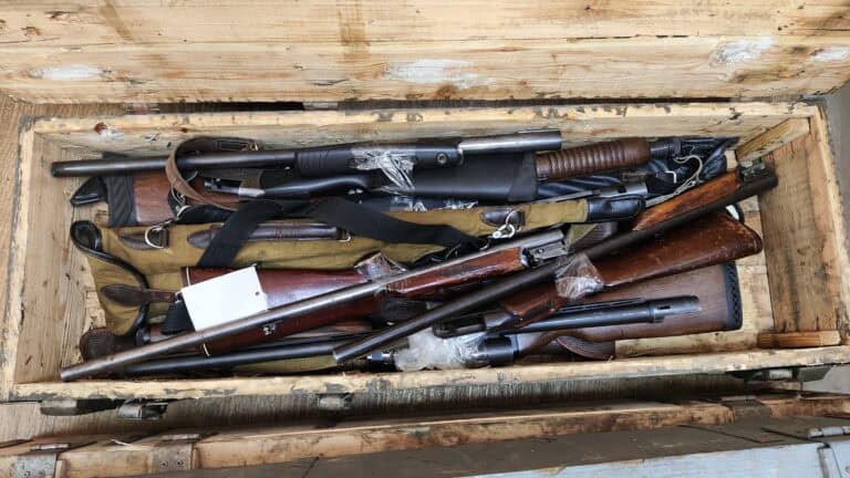 Фото: 13.rosguard.gov.ru