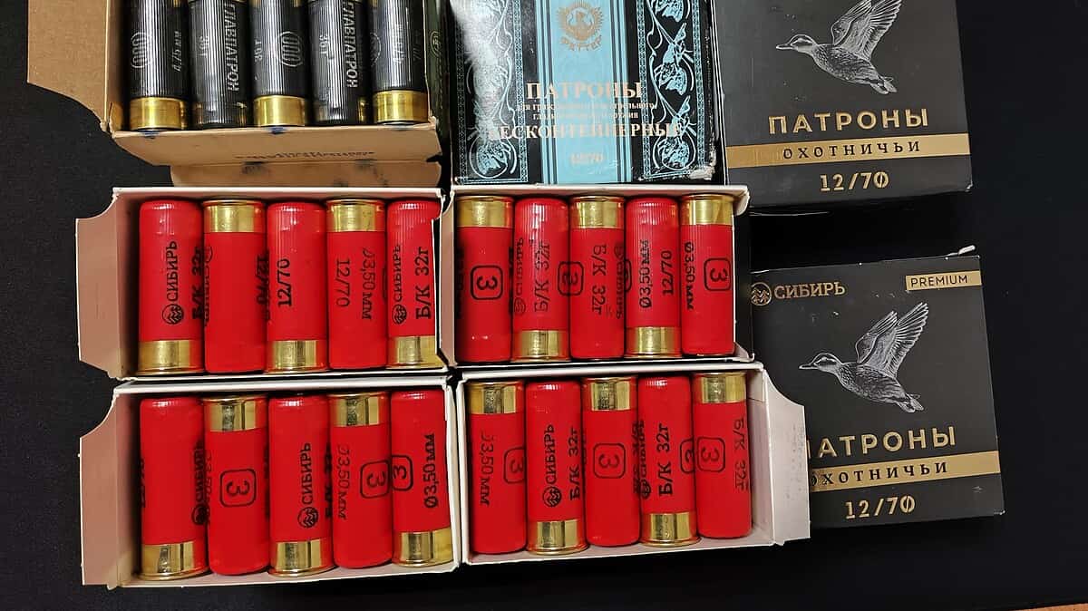 Фото: 13.rosguard.gov.ru