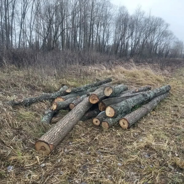 Фото: 13.мвд.рф