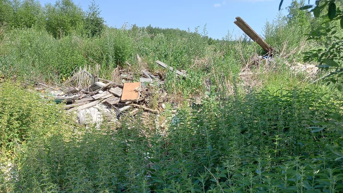 Фото: Межрегиональное управление Росприроднадзора по Нижегородской области и Республике Мордовия.