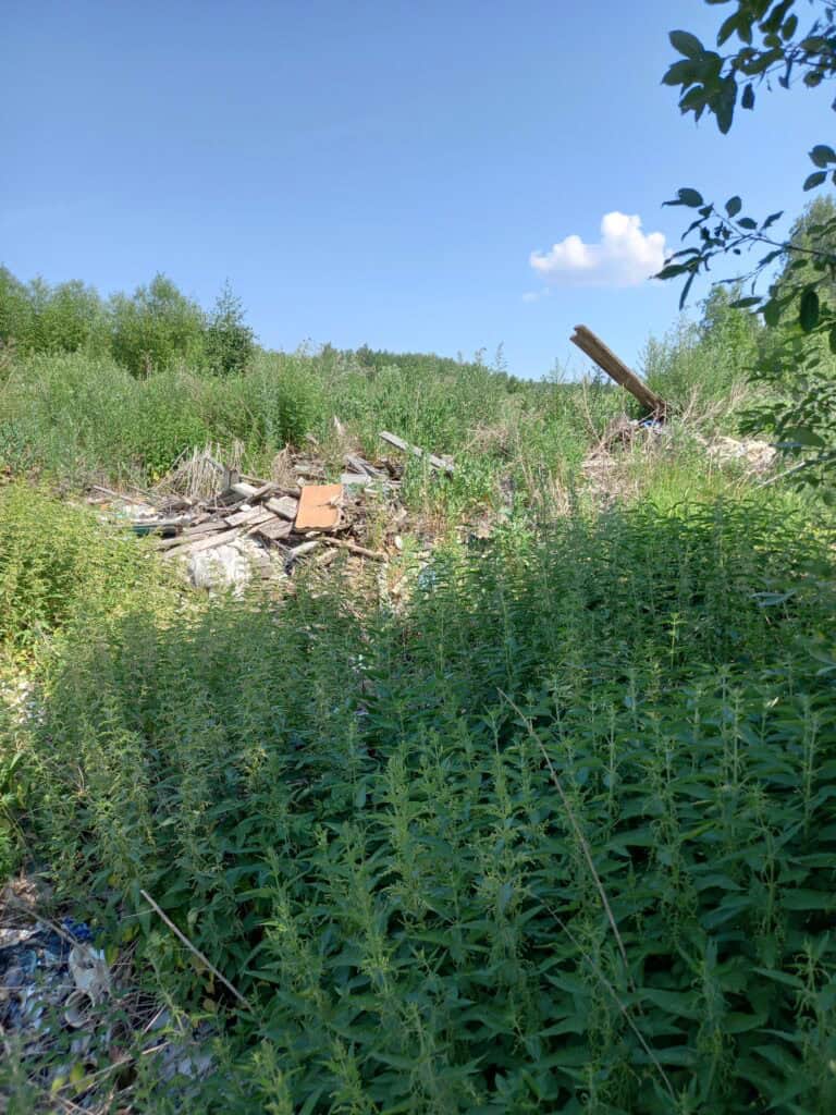 Фото: Межрегиональное управление Росприроднадзора по Нижегородской области и Республике Мордовия.