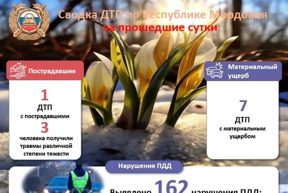 Фото: ГАИ Мордовии