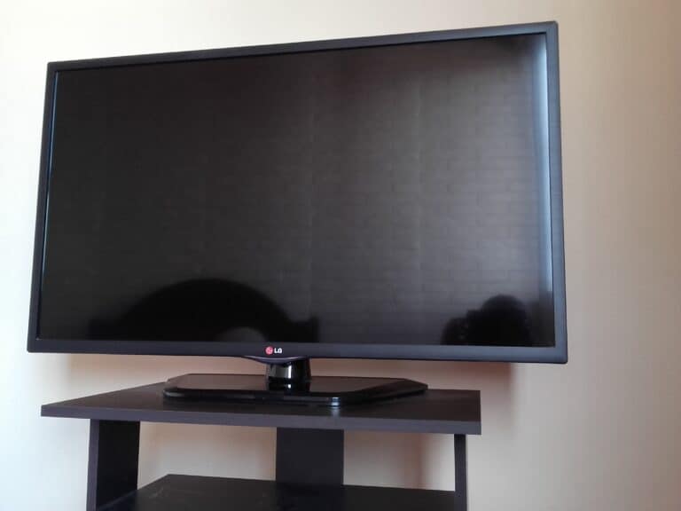 Фото: wikimedia/EEIM/CC BY 3.0