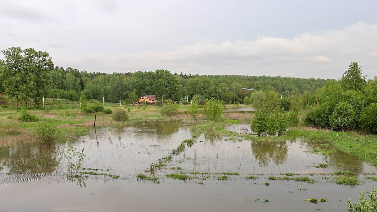 Фото: commons.wikimedia.org/Stolbovsky/Creative Commons Attribution-Share Alike 3.0