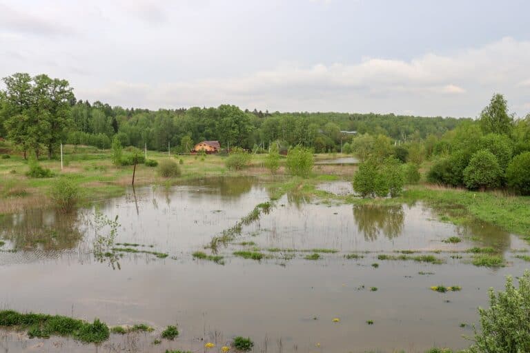 Фото: commons.wikimedia.org/Stolbovsky/Creative Commons Attribution-Share Alike 3.0