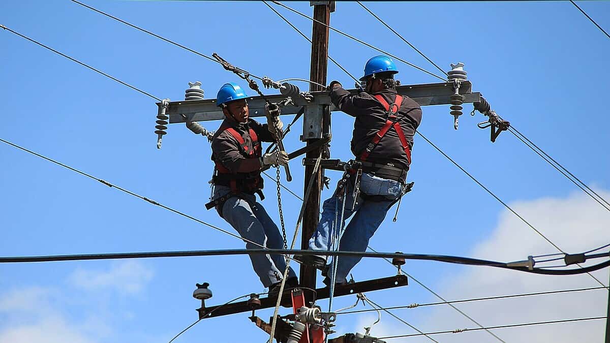 Фото: Fran Hogan, Wikimedia Commons, CC0