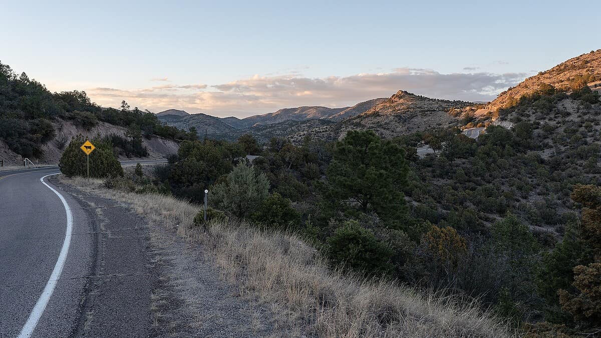 Фото: commons.wikimedia.org/Matthew.kowal/Creative Commons Attribution-Share Alike 4.0