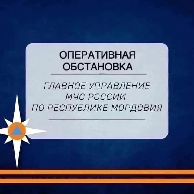 Фото: МЧС Мордовии