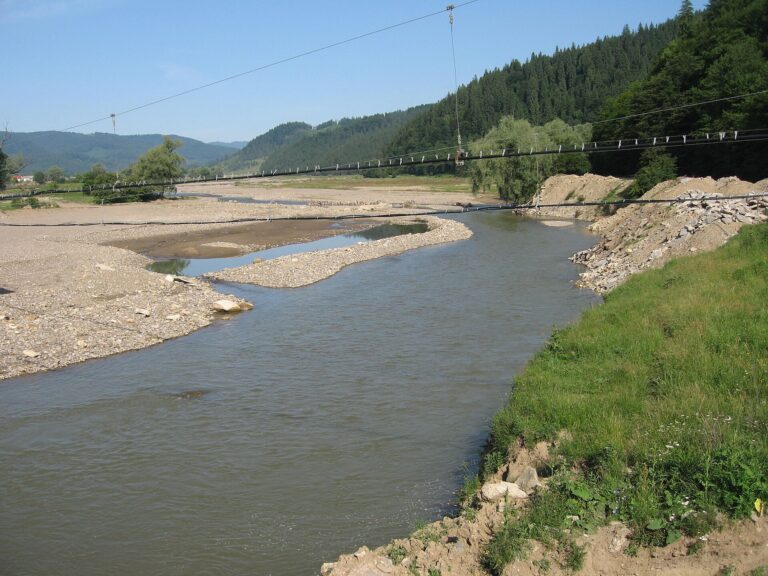 Фото: commons.wikimedia.org/Cezar Suceveanu/Creative Commons Attribution 2.5