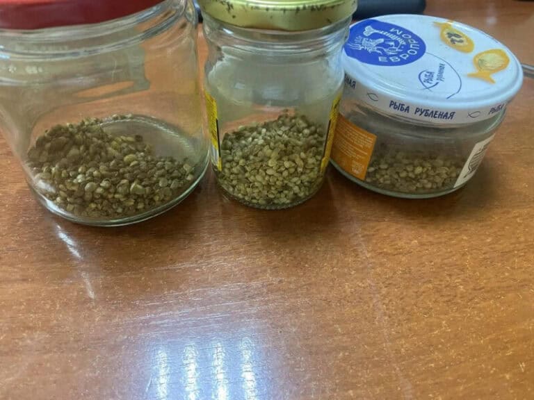 Фото: 13.мвд.рф