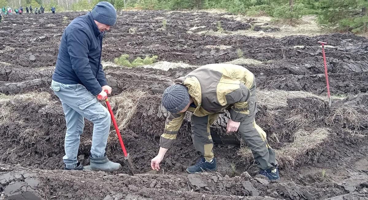 Фото: Минсельхозпрод Республики Мордовия