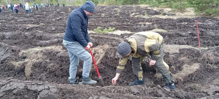 Фото: Минсельхозпрод Республики Мордовия