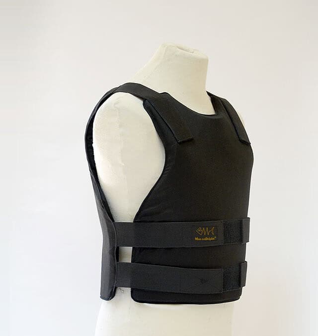 Фото: commons.wikimedia.org/PMullahaa/Creative Commons Attribution-Share Alike 3.0