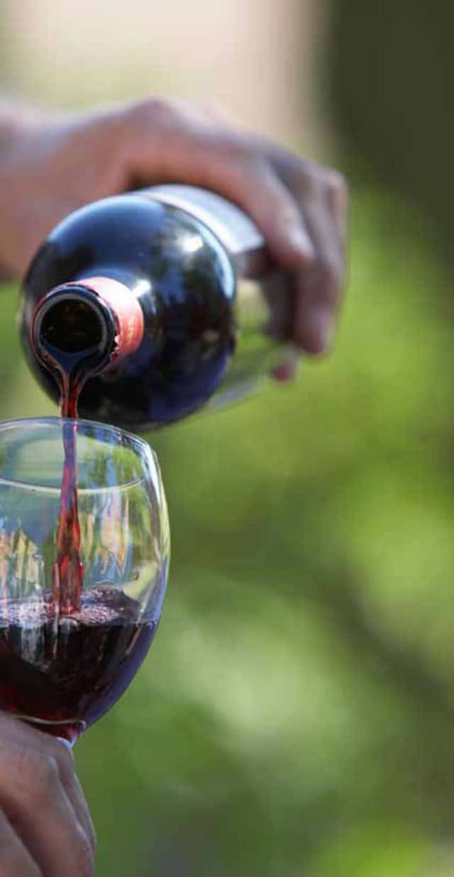 Фото: commons.wikimedia.org/CDC/Public domain