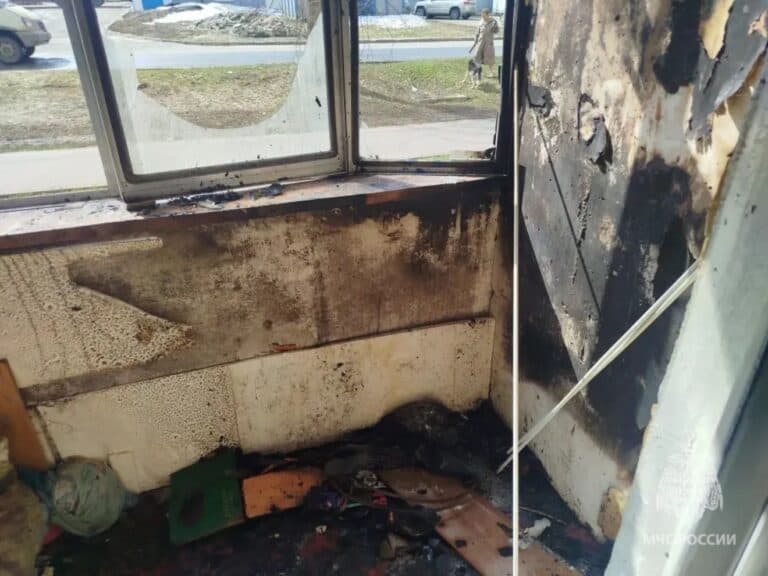 Фото: МЧС Мордовии