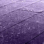 Фото: commons.wikimedia.org/W.carter/Creative Commons Zero, Public Domain Dedication