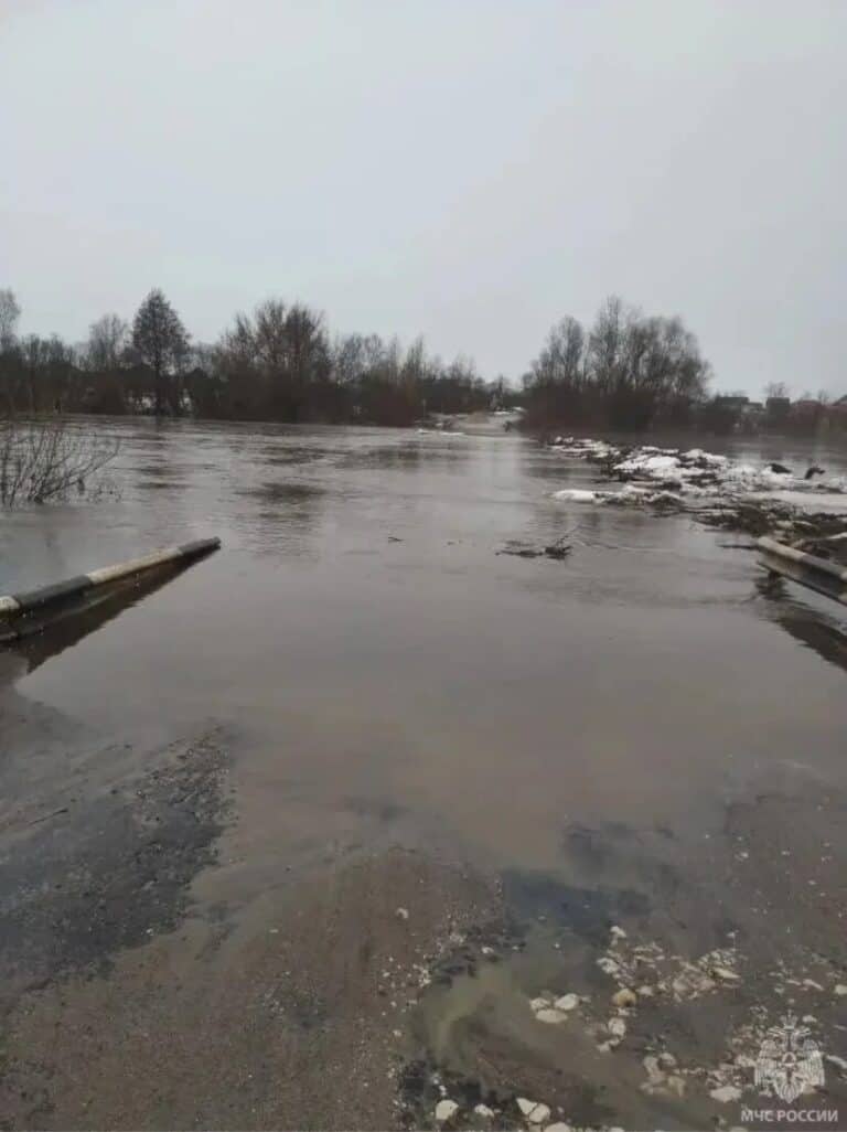 Фото: МЧС РМ