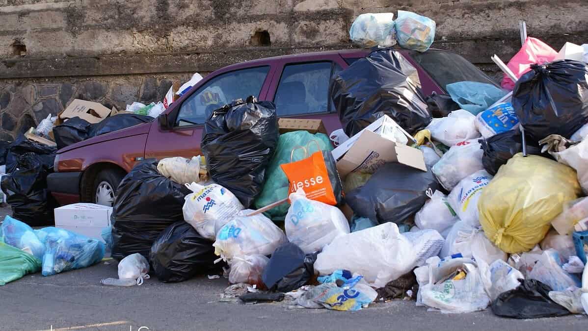 Фото: wikimedia.org/Adriano Amalfi/CC BY 4.0