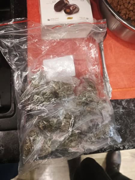 Фото: 13.мвд.рф