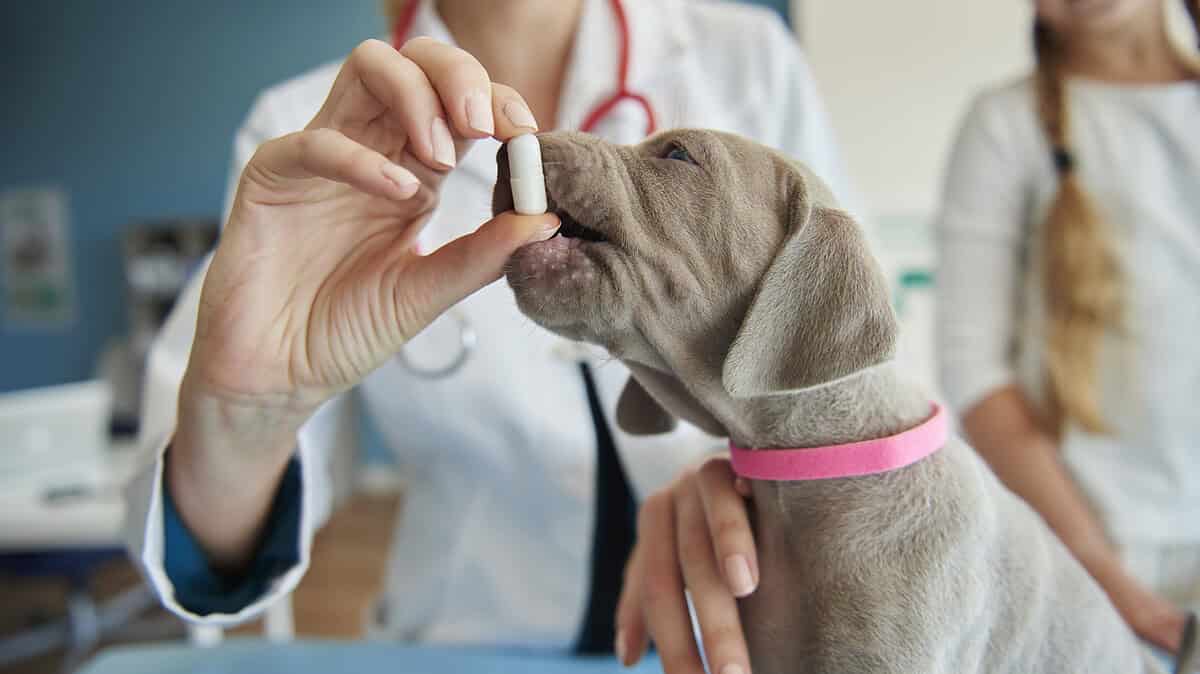 Фото: gpointstudio на Freepik