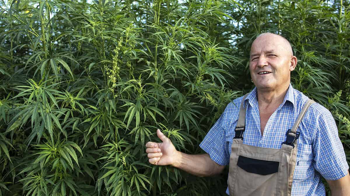 Фото: aleksandarlittlewolf на Freepik