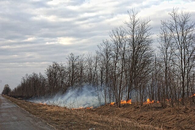 Фото: commons.wikimedia.org/Валерий Дед/Creative Commons Attribution 3.0