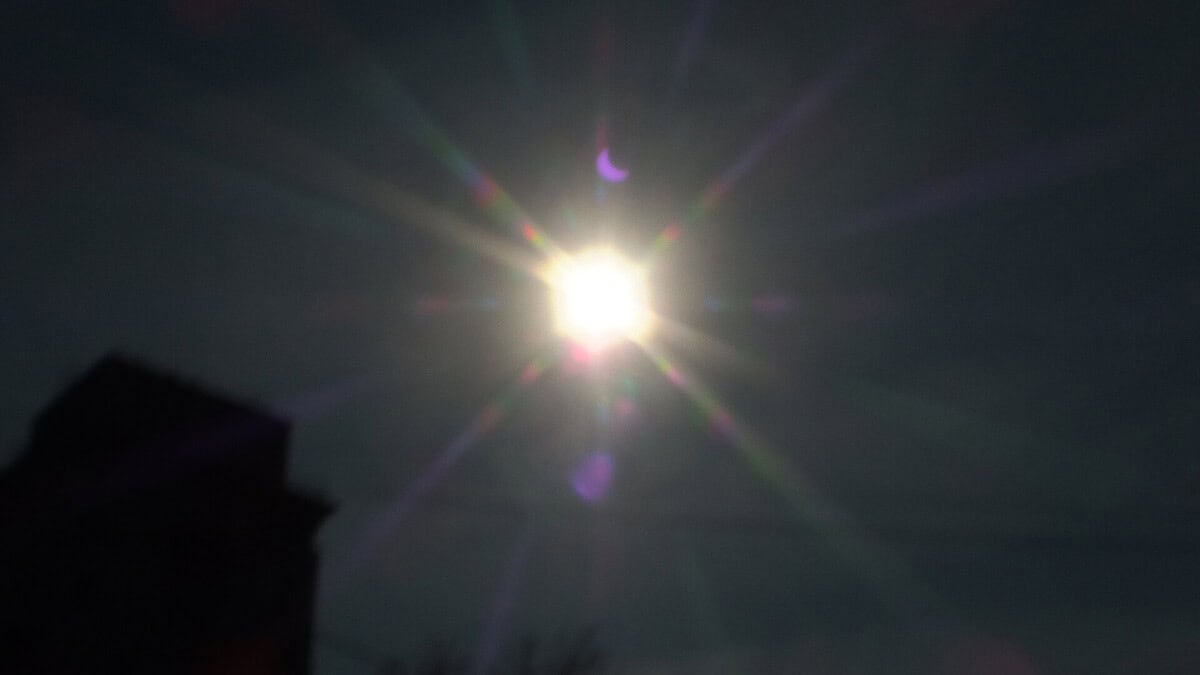 Фото: commons.wikimedia.org/Brateevsky/Creative Commons Attribution-Share Alike 4.0