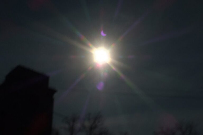 Фото: commons.wikimedia.org/Brateevsky/Creative Commons Attribution-Share Alike 4.0