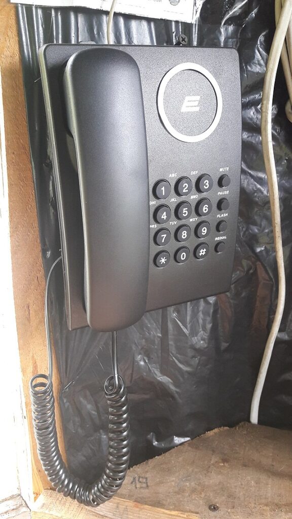 Фото: commons.wikimedia.org/Микола Василечко /Creative Commons Attribution-Share Alike 4.0