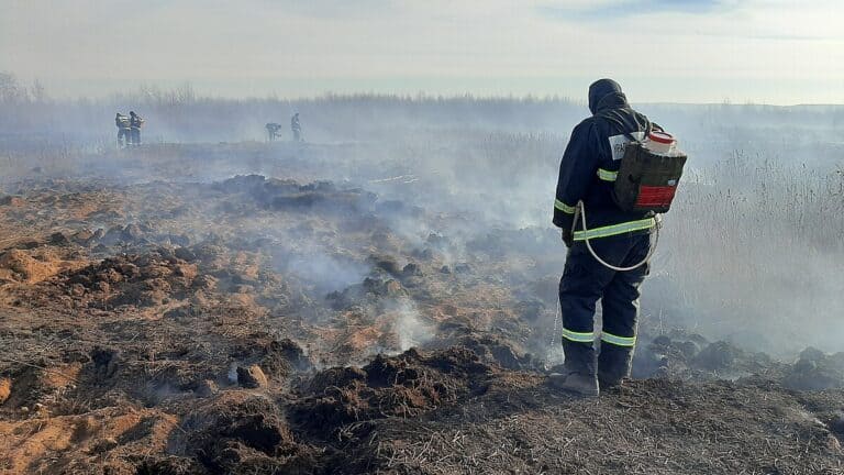 Фото: wikimedia.org/МЧС России/CC BY 4.0