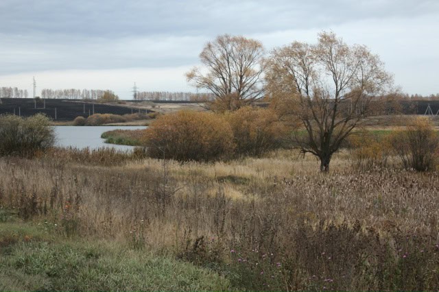 Фото: Прокуратура Мордовии