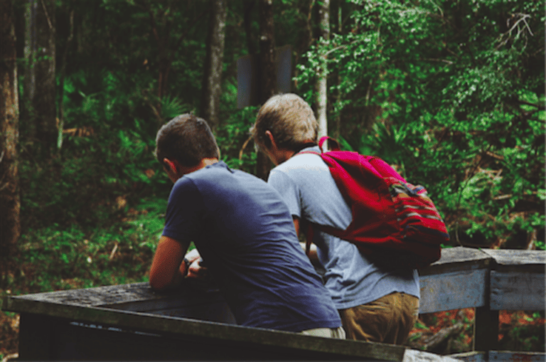 Фото: commons.wikimedia.org/Elijah Henderson/Creative Commons Zero, Public Domain Dedication