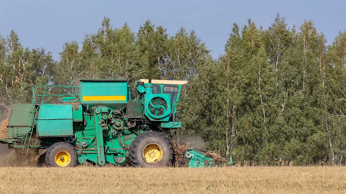 Фото: wirestock на Freepik