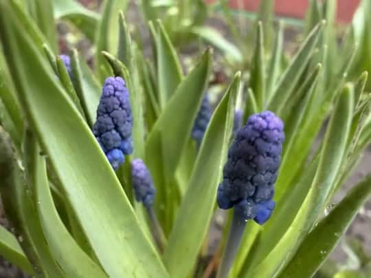 Фото: Мэрия Саранска