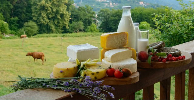 Фото: Минсельхозпрод Республики Мордовия